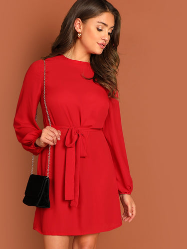 Blouson Sleeve Self Tie Dress