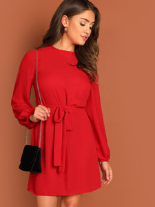 Blouson Sleeve Self Tie Dress