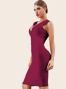 Adyce Zip Back Plunge Neck Bandage Dress