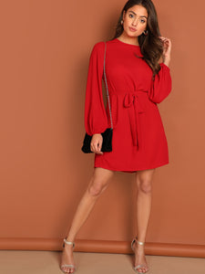 Blouson Sleeve Self Tie Dress