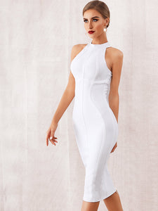 Adyce Zip Back Solid Halterneck Bandage Dress