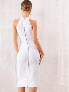 Adyce Zip Back Solid Halterneck Bandage Dress