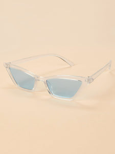 Plain Frame Tinted Lens Sunglasses