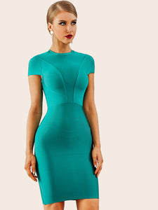 Adyce Solid Zip Back Bandage Dress