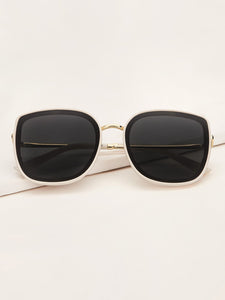 Plain Frame Flat Lens Sunglasses With Case