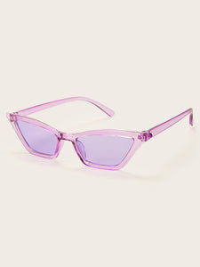 Plain Frame Tinted Lens Sunglasses